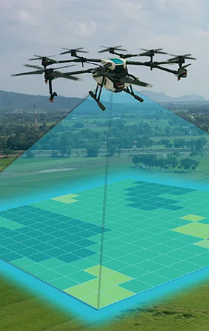 UAV-Surveys