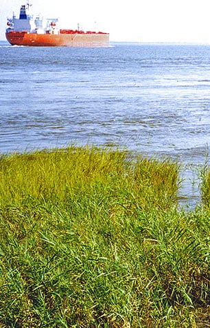 Environmental-Services-with-S.T.-Hudson