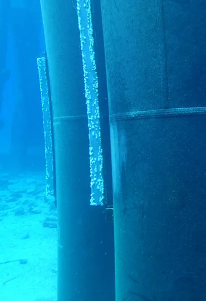 Morton-Salt-dive-inspection